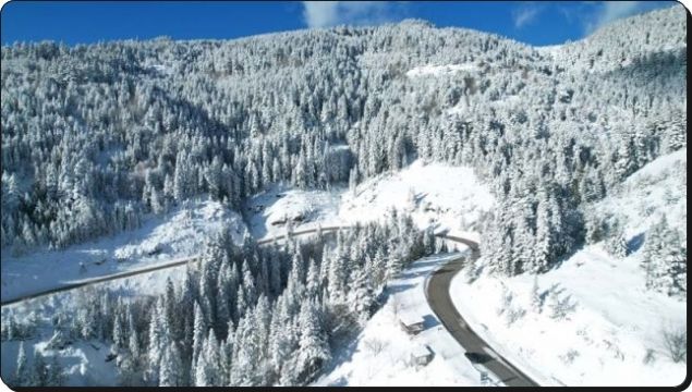 Kastamonu'da ormanlar beyaz örtüyle kaplandı: