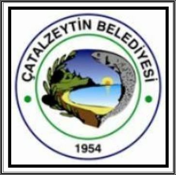 Çatalzeytin İl Genel Meclisi ve Çatalzeytin Belediye Meclisi üyeleri belli oldu