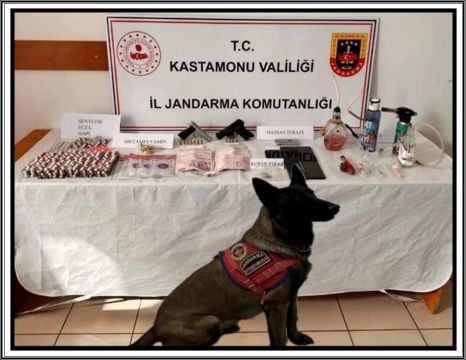 Kastamonu'da uyuşturucu operasyonu: